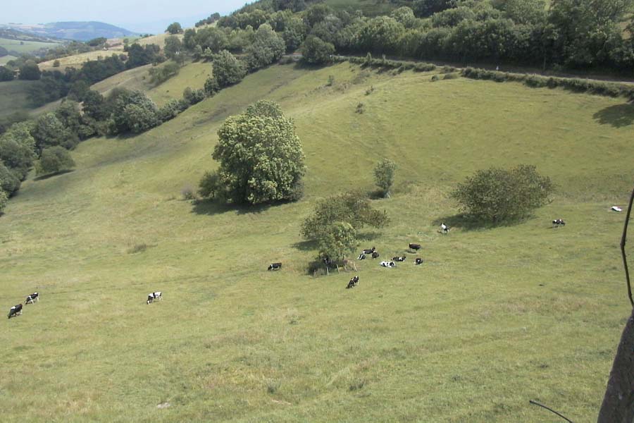 Réservation Gîte La Déserte